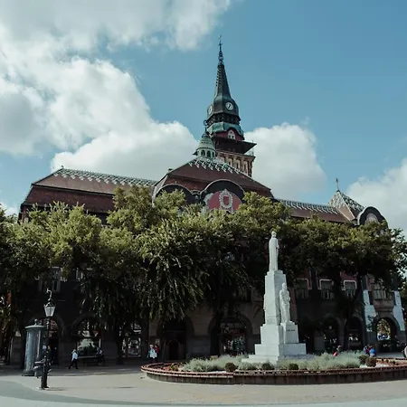 David Apartman Studio Apartment Subotica